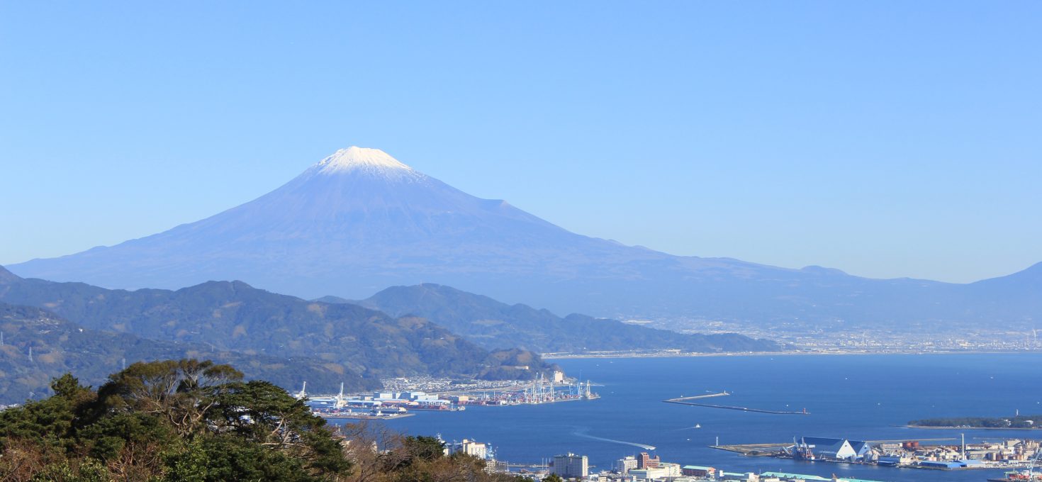 Abekawamochi from Shizuoka prefecture