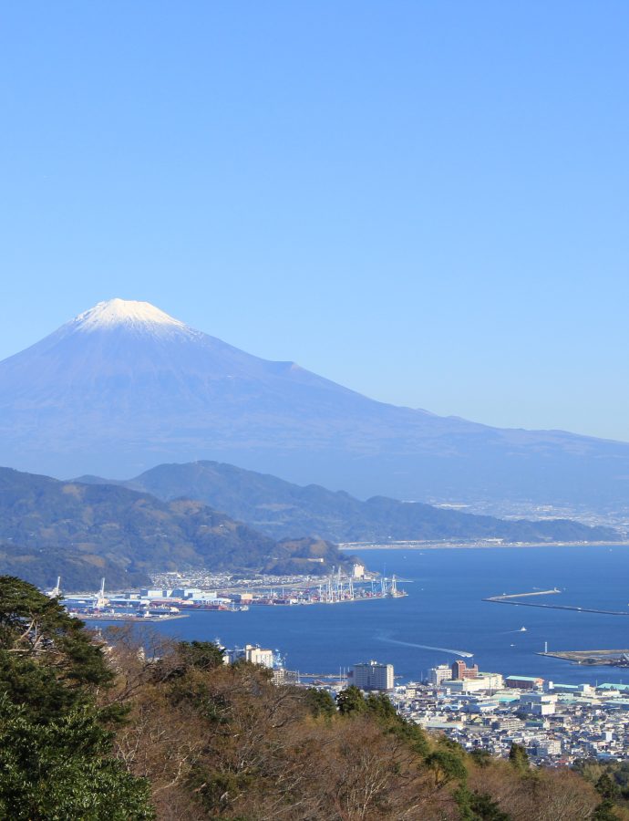 Abekawamochi from Shizuoka prefecture